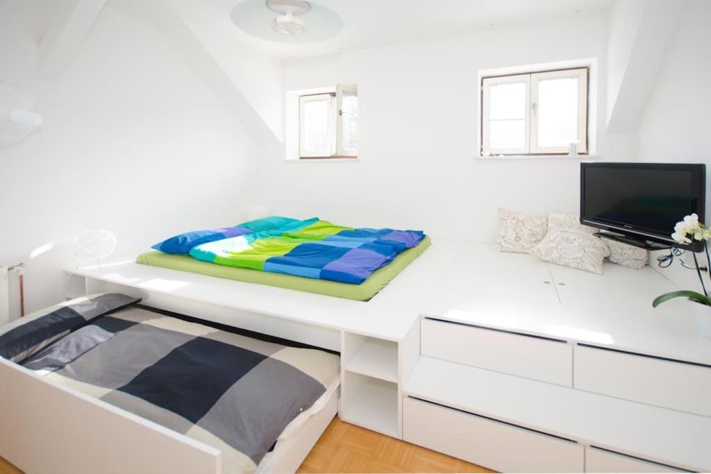 The Cute, Sunny Apartment In The Center +P Lublana Zewnętrze zdjęcie